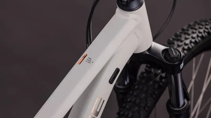 Cube Aim Pro Mountain Bike In Greige/Titan-2