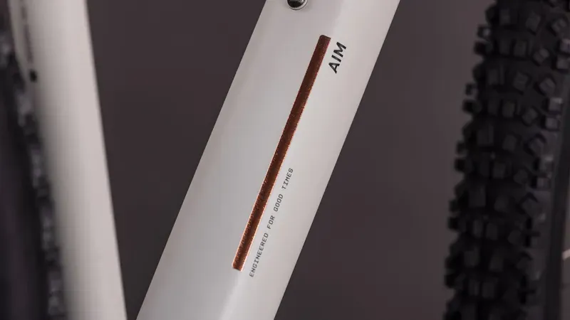 Cube Aim Pro Mountain Bike In Greige/Titan-3