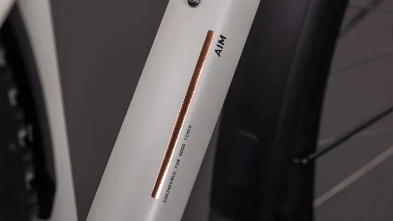 Cube Aim Pro Fe Mountain Bike in Greige/Titan-3