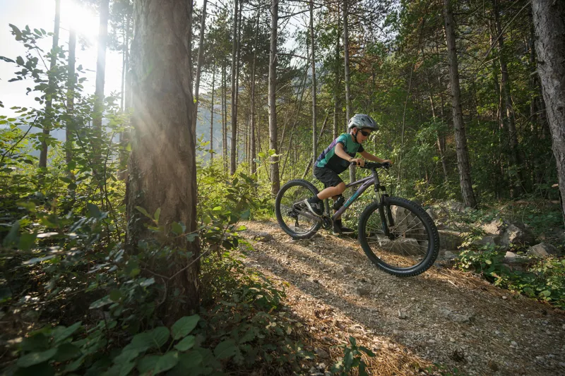 24" wheel (9-13 yrs)