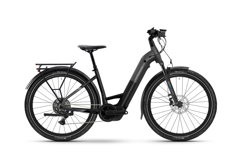 Haibike Trekking 6.5 Low eBike in Stardust/Titan