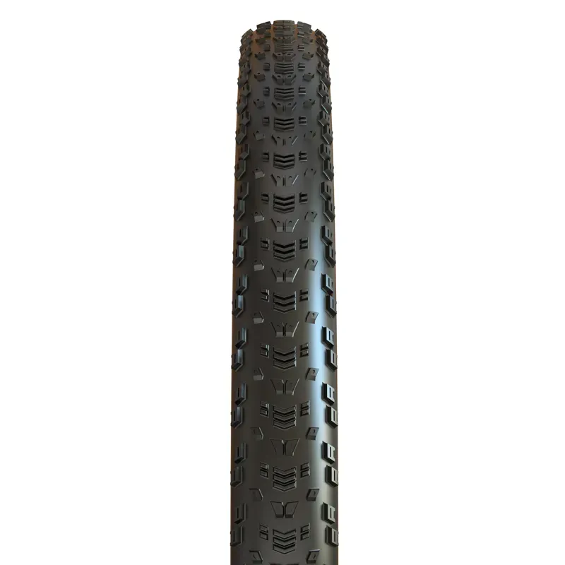 TYRE Maxxis Aspen 29x2. 4WT Black 29 x 2.4 inches-2