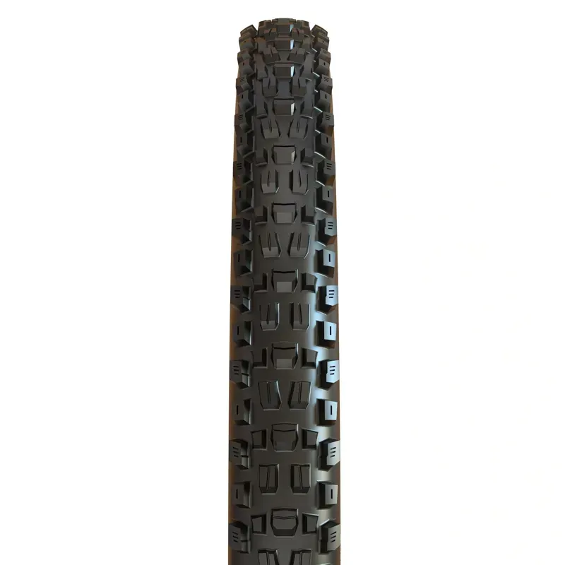 Maxxis Assegai Folding DC EXO TR Tyre in Black-1