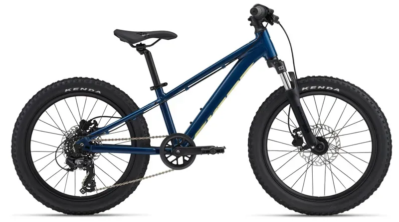 Giant STP 20 FS Kids Bike In Blue Palace