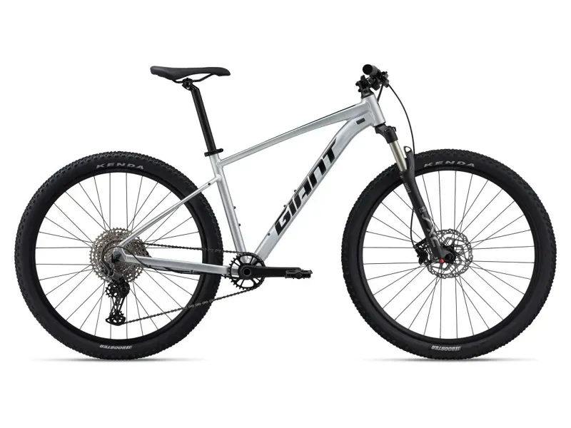 Giant Talon 0 Mountain Bike In Gloss Quicksillver/Panther