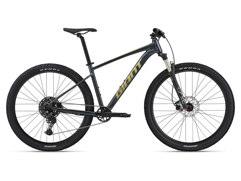 Giant Talon 1 Mountain Bike In Gloss Cold Iron/Bay Leaf