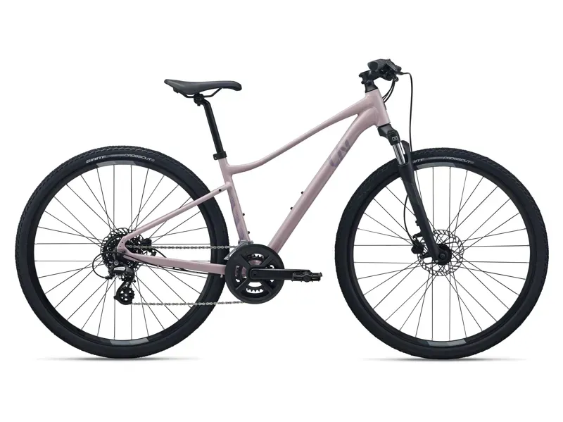 Liv Rove 4 Gravel Bike in Rosy Brown