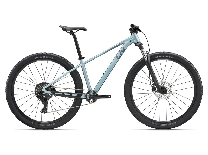 Liv Tempt 29 2 Mountain Bike in Cryo Silver