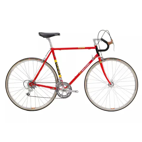 Raleigh Bikes Planet Bike