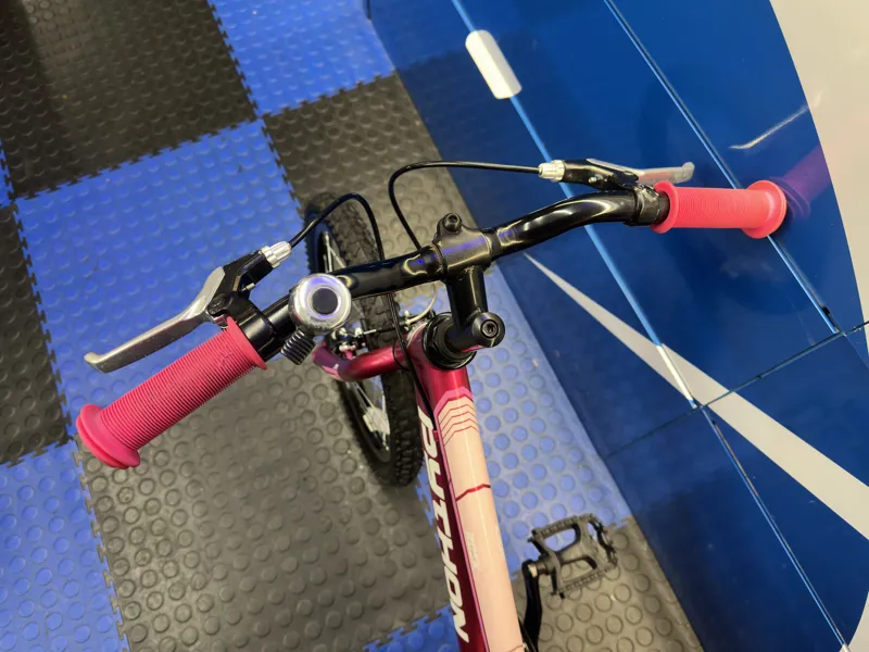 Python Rock 18 Pink - PRE-LOVED-6