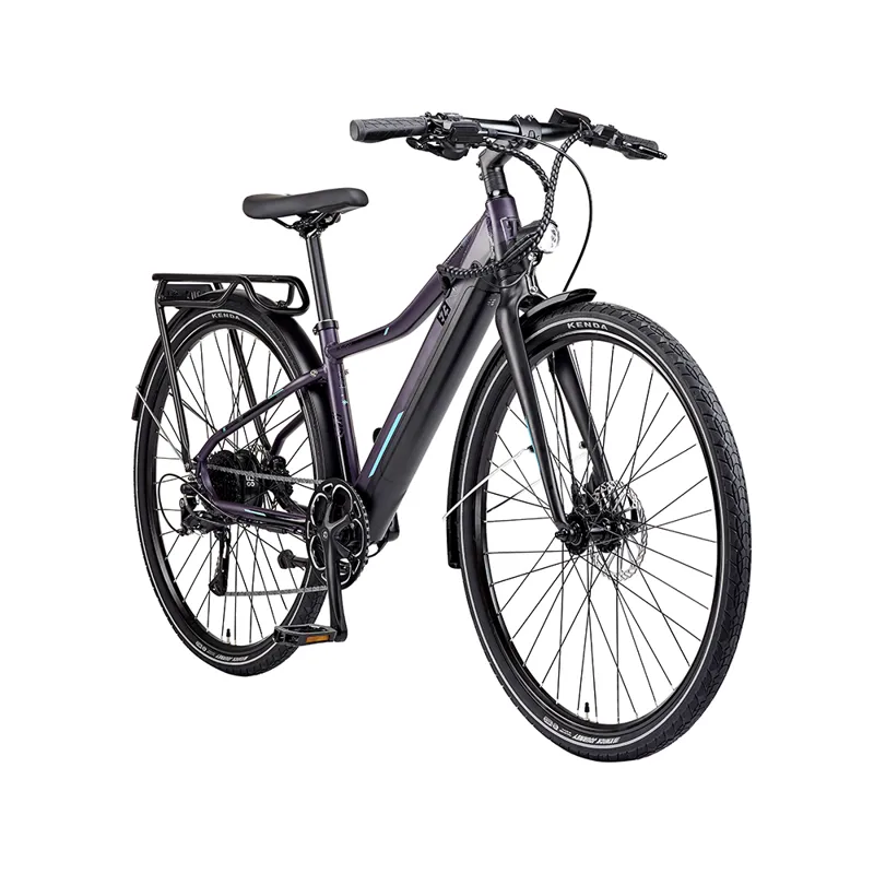 EZEGO Commute INT Unisex - Purple-1