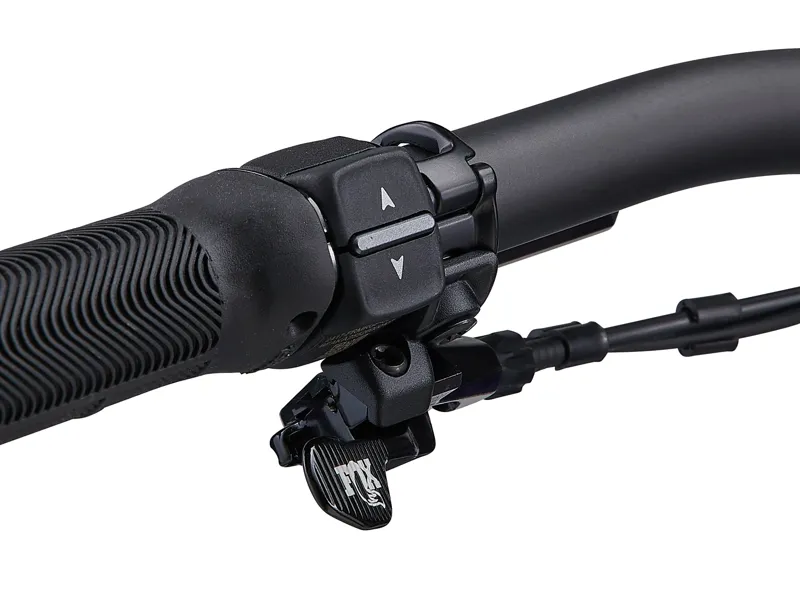 Giant Reign Advanced E+ 0 Electric Mountain Bike in Purple Haze/Metallic Navy-8