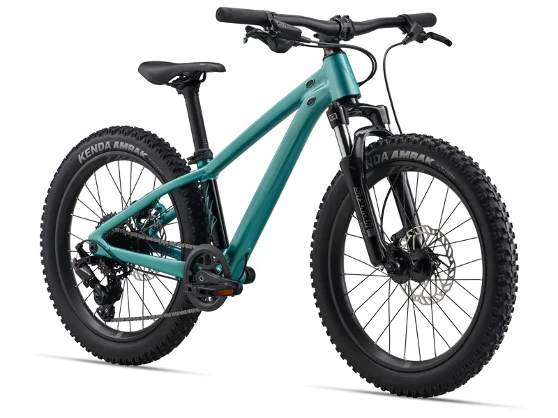 Giant STP 20 FS-Giant One Size Teal-1