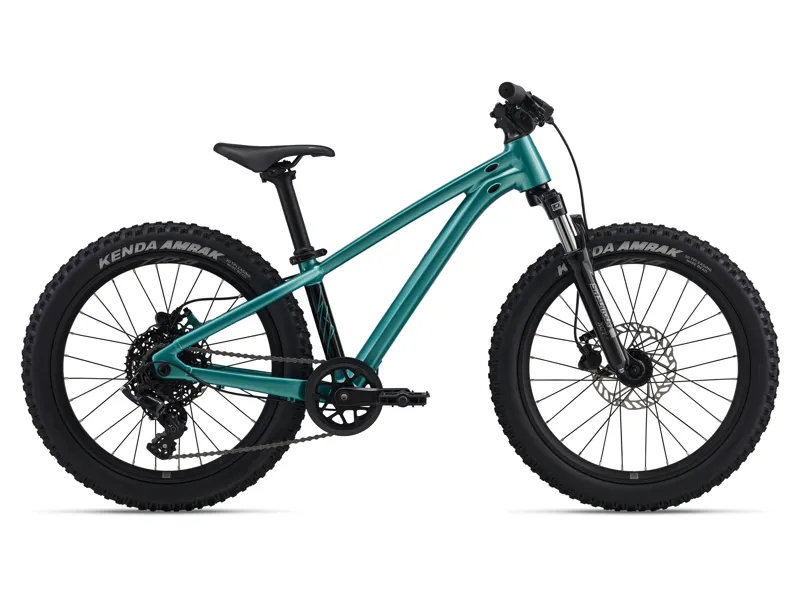 Giant STP 20 FS-Giant One Size Teal