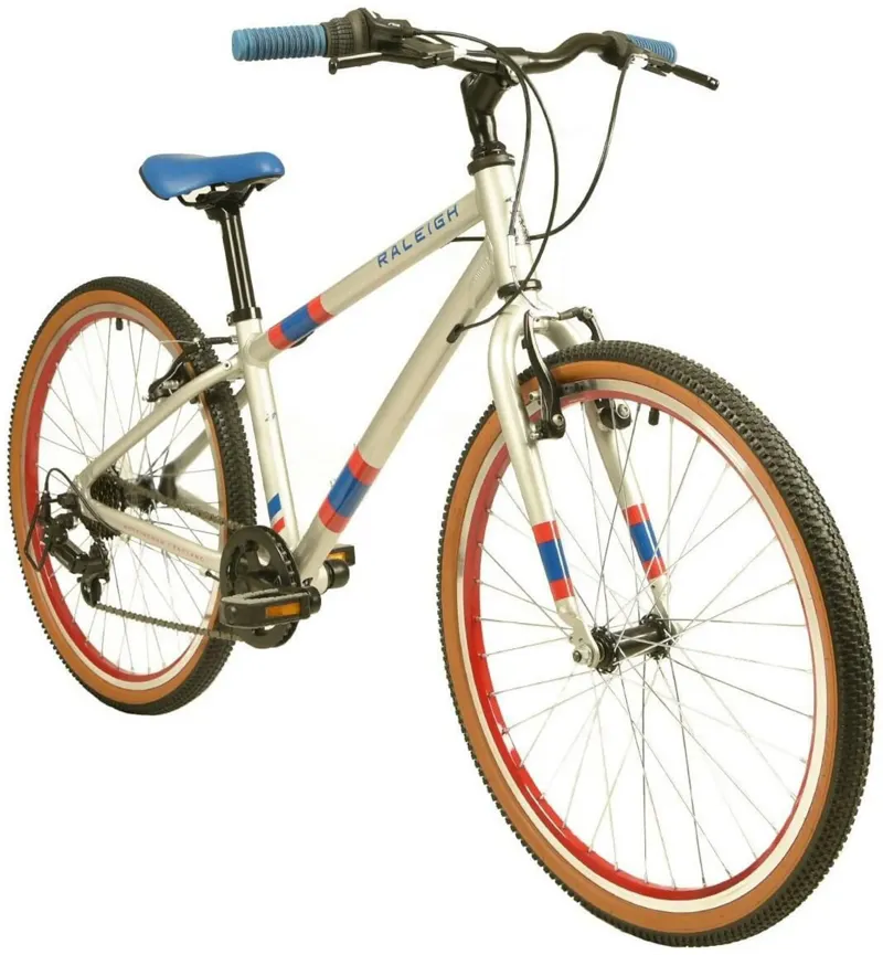 Raleigh pop 24 discount