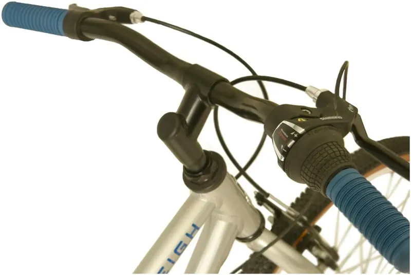Raleigh pop 24 online