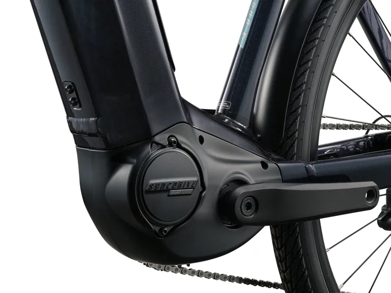 AnyTour E+ 4 DD 25km/H Cold Night-3