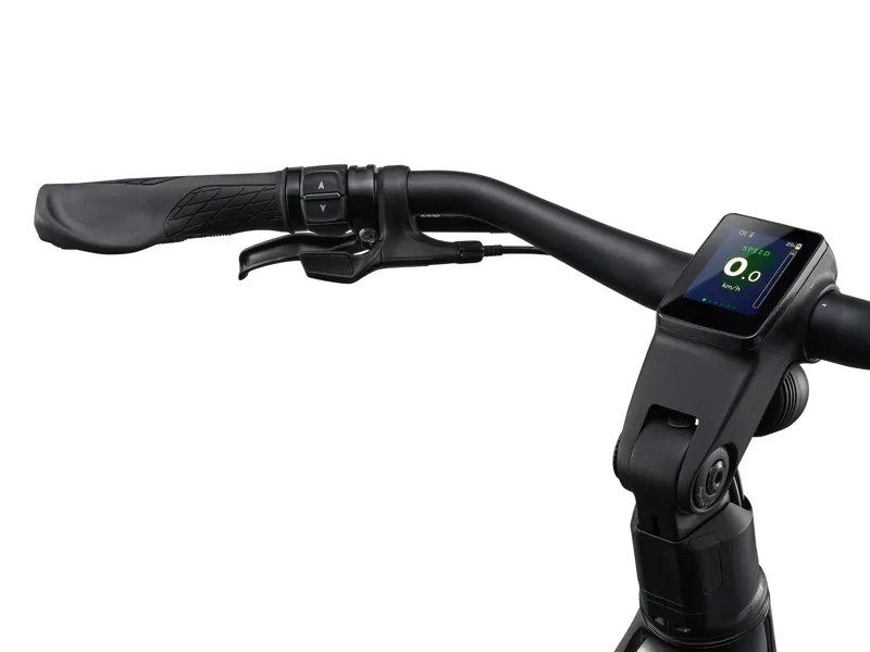 AnyTour E+ 1 LST 25km/H Panther-9