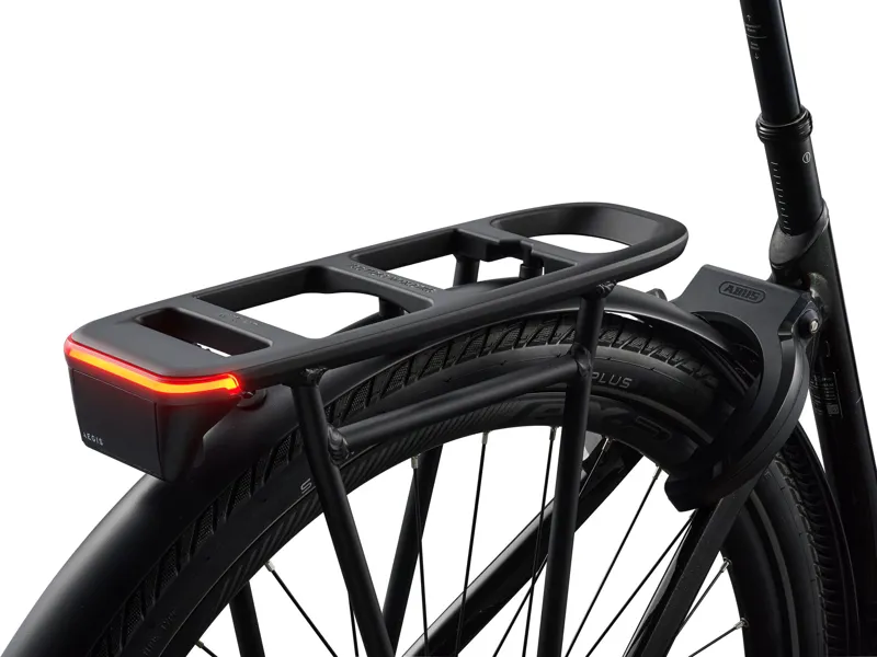 AnyTour E+ 1 LST 25km/H Panther-3