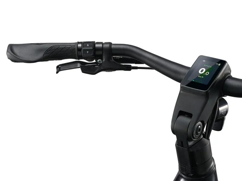 AnyTour E+ 3 DD 25km/H Steah Chrome-7