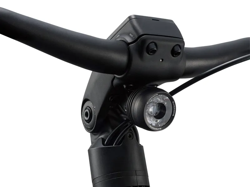 AnyTour E+ 1 LST 25km/H Panther-8