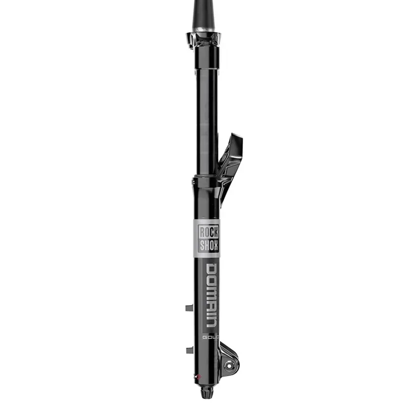 Rock Shox Domain Gold C1 180mm Fork in Black-2