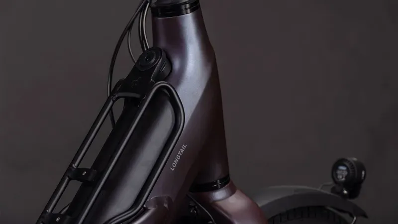 Cube Longtail Hybrid Comfort Family 800 eCargo Bike in Haze/Reflex-2