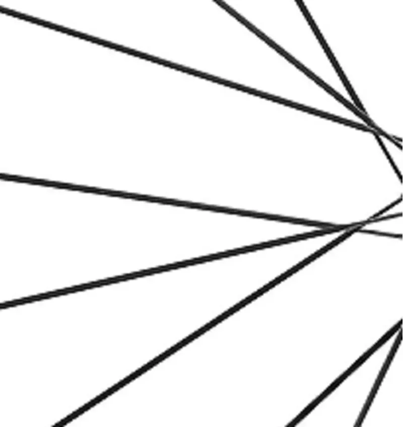 Giant SLR 0 4-pack 280.5mm Carbon Spokes in Black/Carbon-1