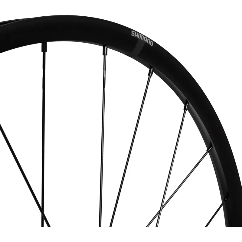 WHEL RX180 700C 12x100mm CL FR Black front 700c - tubeless ready-2