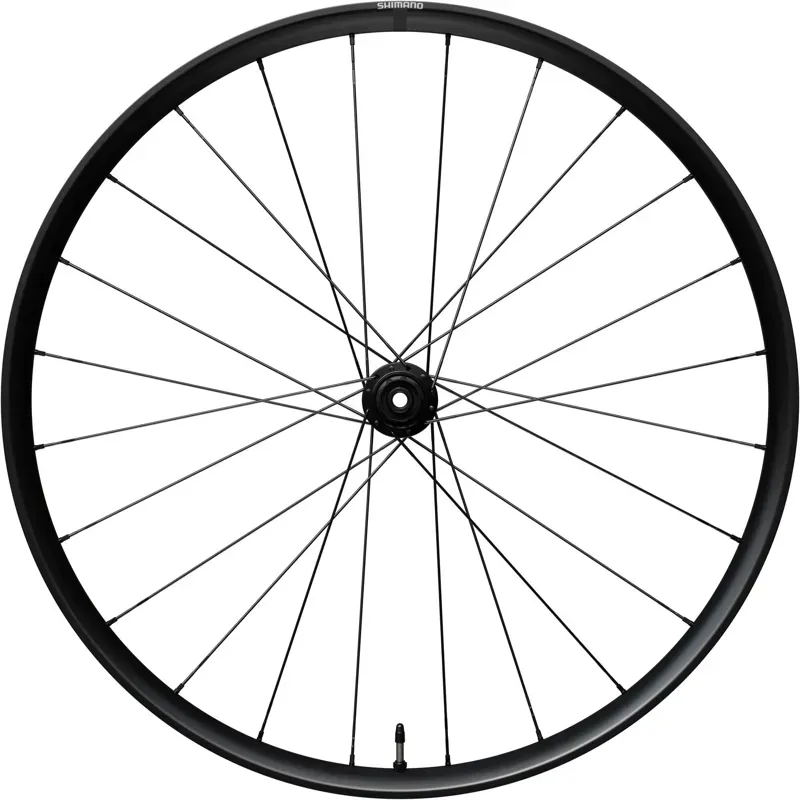 WHEL RX180 700C 11/12s 12x142mm HG CL RR Black rear 700c - tubeless ready